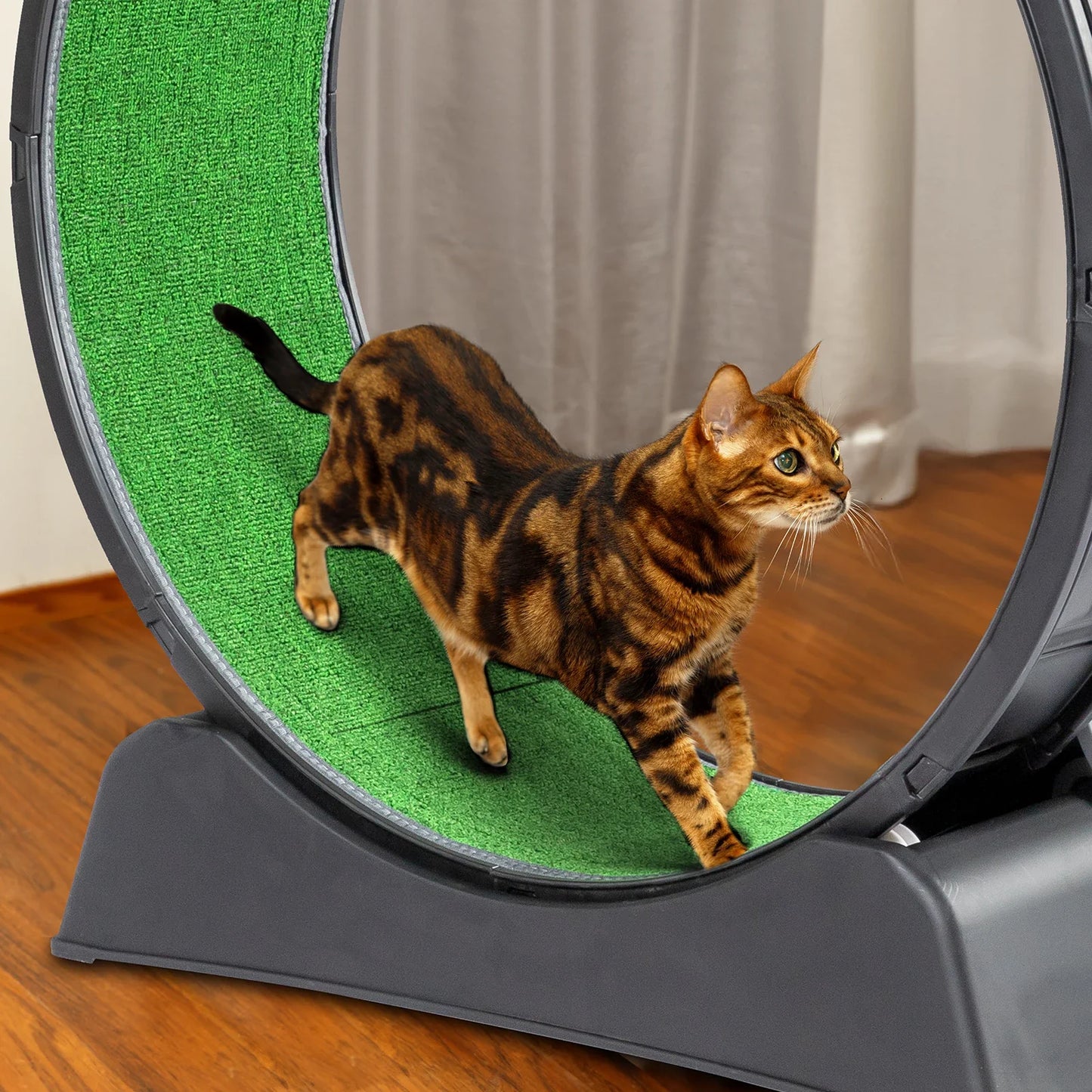 Cat exercise wheels, 39 inch indoor cat wheels, cat treadmill wheels with carpet running track, used for daily exercise of cats