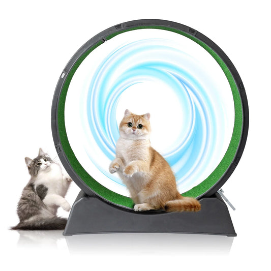 Cat exercise wheels, 39 inch indoor cat wheels, cat treadmill wheels with carpet running track, used for daily exercise of cats