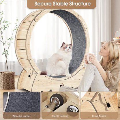 Cat Exercise Wheel for Indoor Cats, Cat Running Wheel with Carpeted Runway, Cat Sport Treadmill Wheel for Kitty's Longer Life