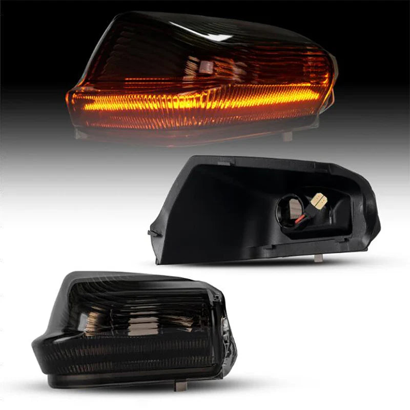 2Pcs Canbus LED Dynamic Side Mirror Lights Turn Signal Blinker Lamps For Mercedes Benz Sprinter W906 Volkswagen Crafter 06-2021