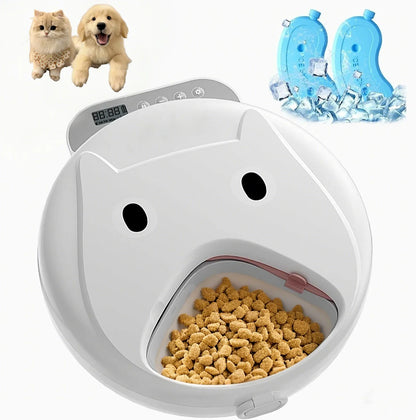 Automatic Pet Feeder Smart Cat Food Dispenser For Wet & Dry Food Kibble Dispenser Auto Feeder For Cat with 2 Ice Packs