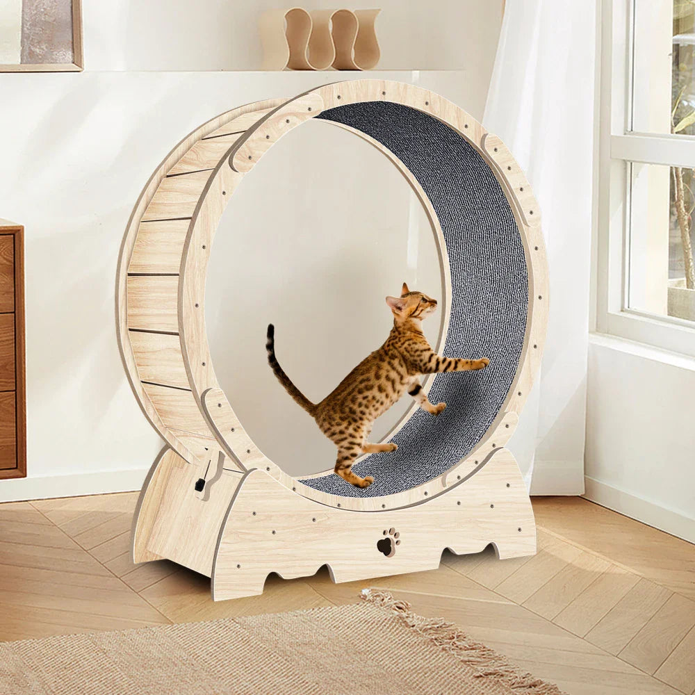 Cat Exercise Wheel for Indoor Cats, Cat Running Wheel with Carpeted Runway, Cat Sport Treadmill Wheel for Kitty's Longer Life