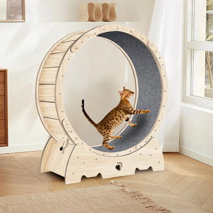 Cat Exercise Wheel for Indoor Cats, Cat Running Wheel with Carpeted Runway, Cat Sport Treadmill Wheel for Kitty's Longer Life