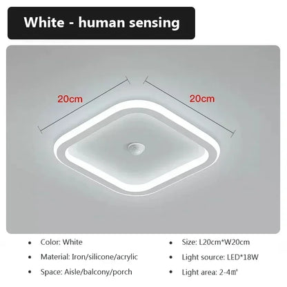 Modern LED Ceiling Light Human Body Induction Lamp for Living Room Entrance Hallway Corridor Sensor Lamp indoor lighting fixture