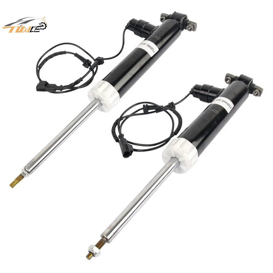 1Pair Rear Right＆Left Shock Absorber for Ford Fusion/Lincoln MKZ 2013-2017 3.7L 2.0L with Electric ASH24635 EG9Z18125L ASH24651