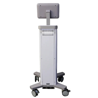 Newest Flx 5th Therm Flx Fractional RF Machine Skin tightening Anti-aging Wrinkle Remover Beauty Machine With 3 Cartridges