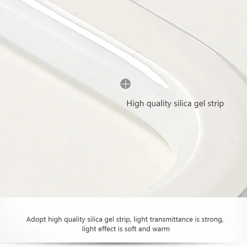 Modern LED Ceiling Light Human Body Induction Lamp for Living Room Entrance Hallway Corridor Sensor Lamp indoor lighting fixture